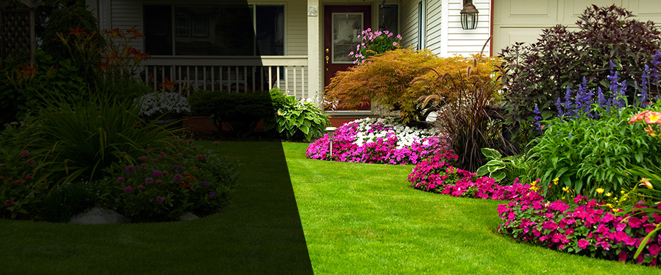 Evansdale Landscapers