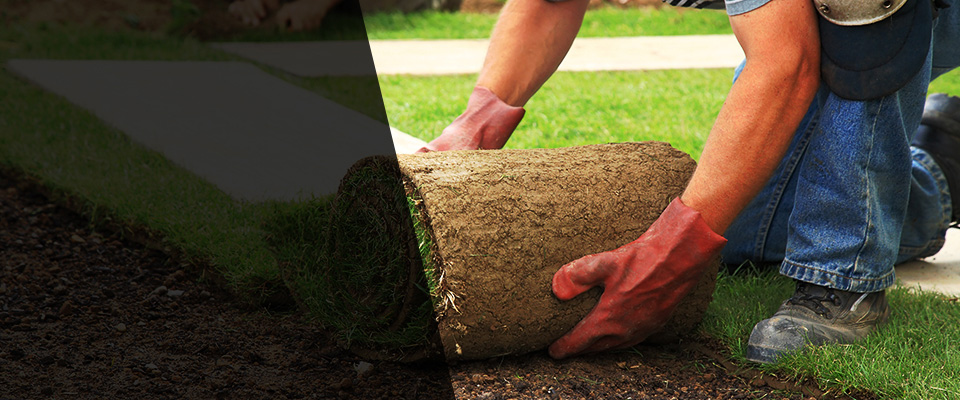 Evansdale Landscapers